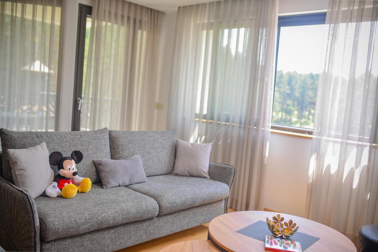 Vila Masa Zlatibor Extérieur photo